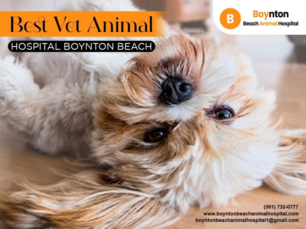 animal hospital in Boynton Beach