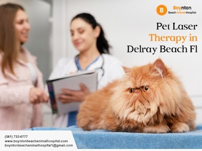 Delray Beach animal hospital