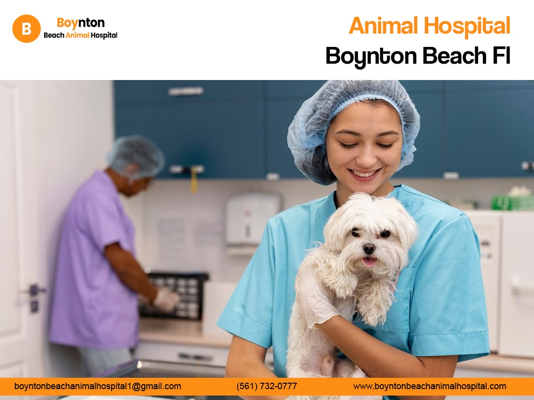 Animal hospital in Palm Beach County