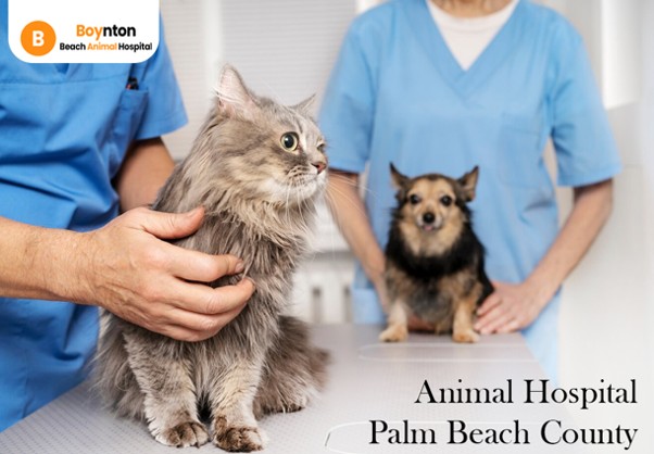 animal hospital Palm Beach County