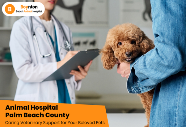 animal hospital Palm Beach County